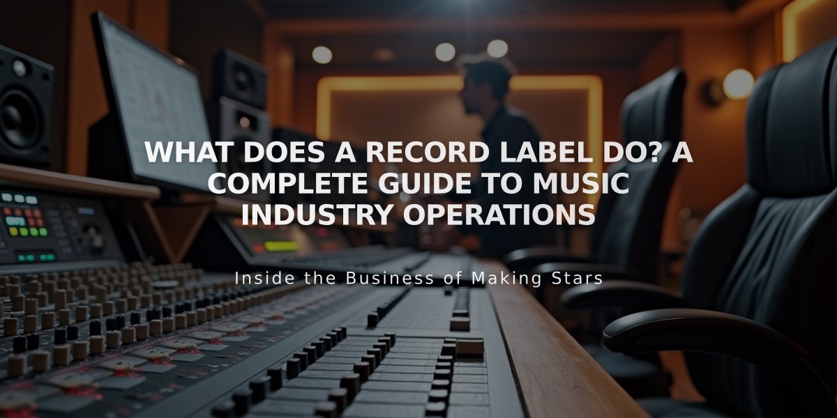 What Does a Record Label Do? A Complete Guide to Music Industry Operations