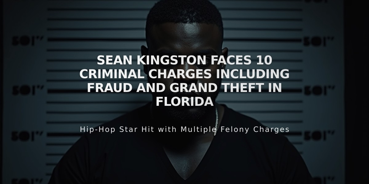 Sean Kingston Faces 10 Criminal Charges Including Fraud and Grand Theft in Florida