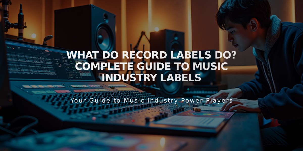 What Do Record Labels Do? Complete Guide to Music Industry Labels