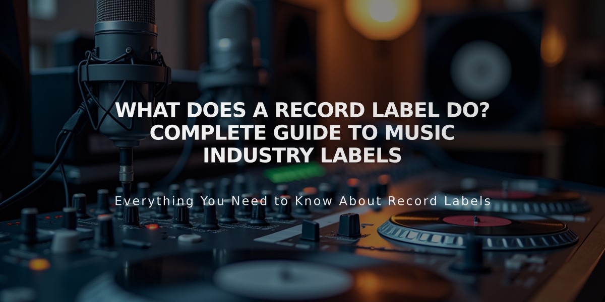 What Does a Record Label Do? Complete Guide to Music Industry Labels