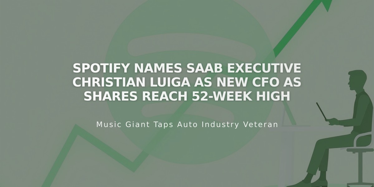 Spotify Names Saab Executive Christian Luiga as New CFO as Shares Reach 52-Week High