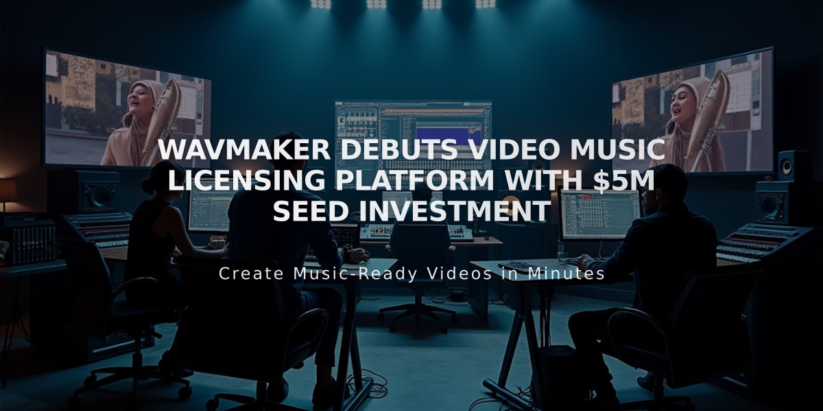 WavMaker Debuts Video Music Licensing Platform with $5M Seed Investment