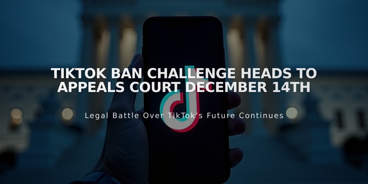 TikTok Ban Challenge Heads to Appeals Court December 14th