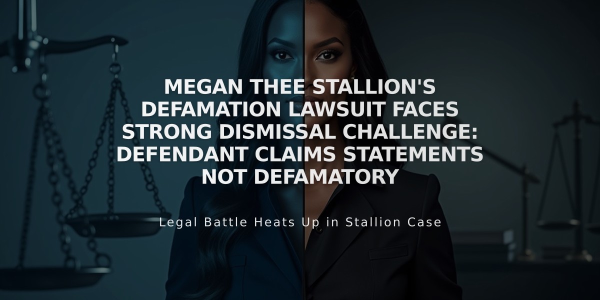 Megan Thee Stallion's Defamation Lawsuit Faces Strong Dismissal Challenge: Defendant Claims Statements Not Defamatory