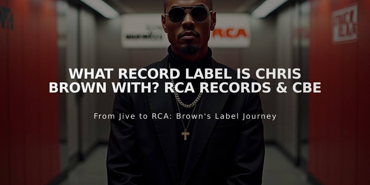 What Record Label Is Chris Brown With? RCA Records & CBE