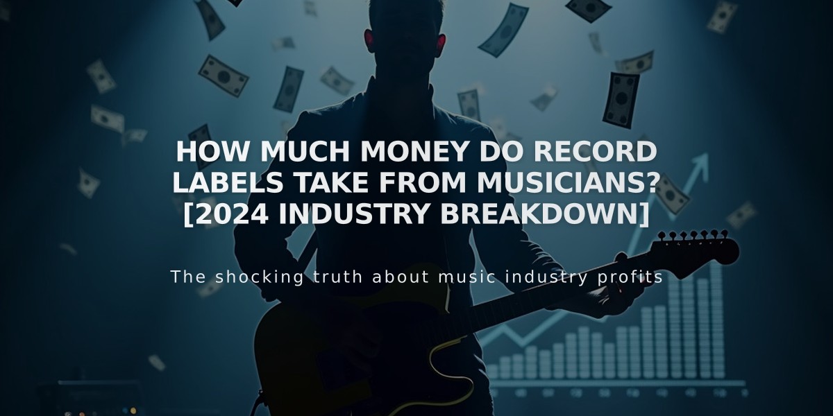 How Much Money Do Record Labels Take From Musicians? [2024 Industry Breakdown]