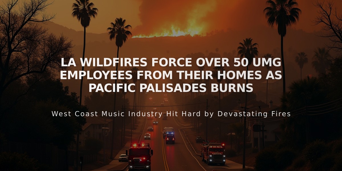 LA Wildfires Force Over 50 UMG Employees From Their Homes as Pacific Palisades Burns