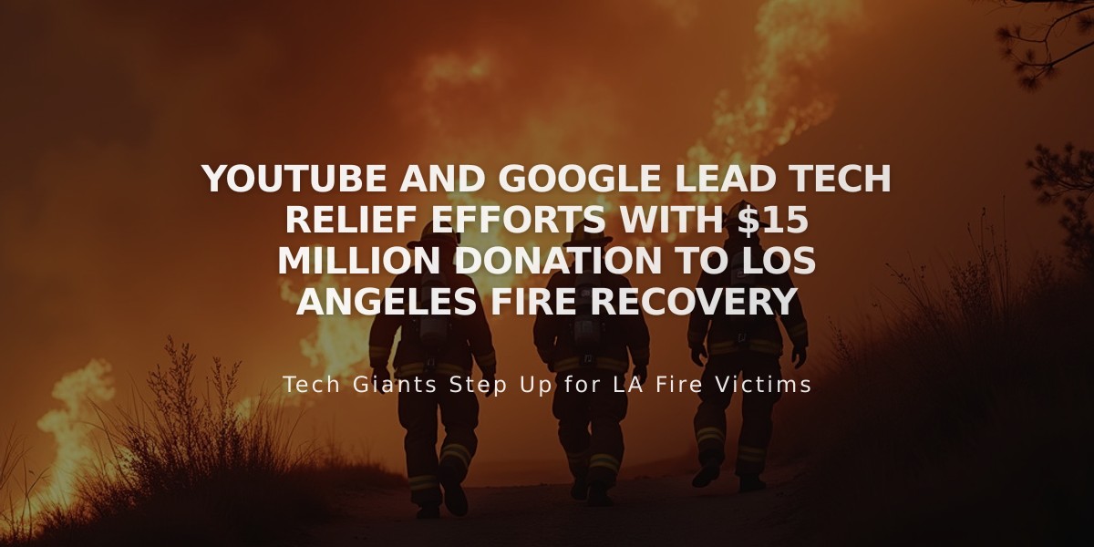 YouTube and Google Lead Tech Relief Efforts with $15 Million Donation to Los Angeles Fire Recovery