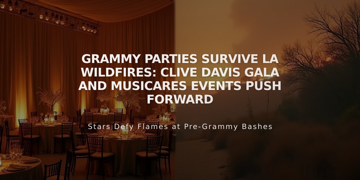 Grammy Parties Survive LA Wildfires: Clive Davis Gala and MusiCares Events Push Forward