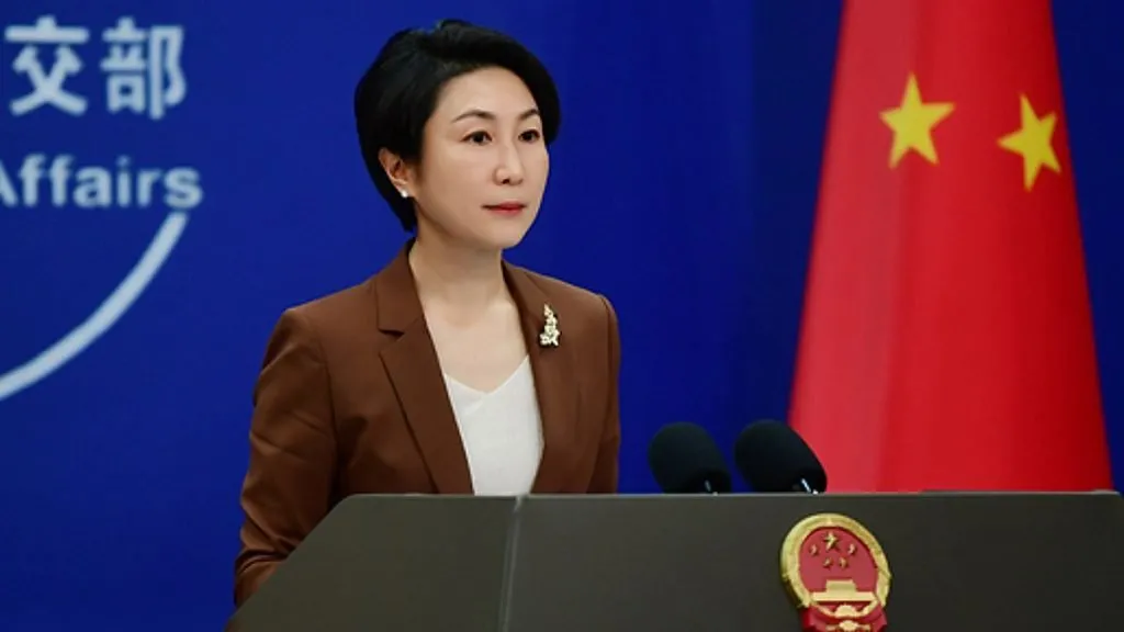 Woman speaking at Chinese government event