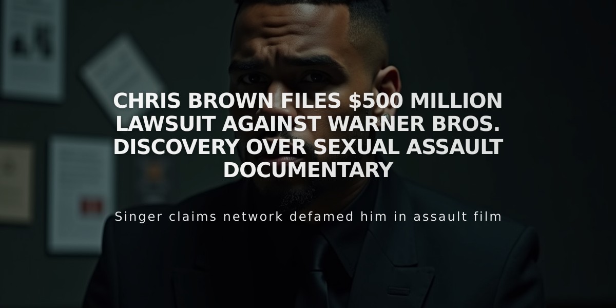 Chris Brown Files $500 Million Lawsuit Against Warner Bros. Discovery Over Sexual Assault Documentary