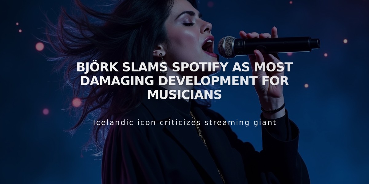 Björk Slams Spotify as Most Damaging Development for Musicians