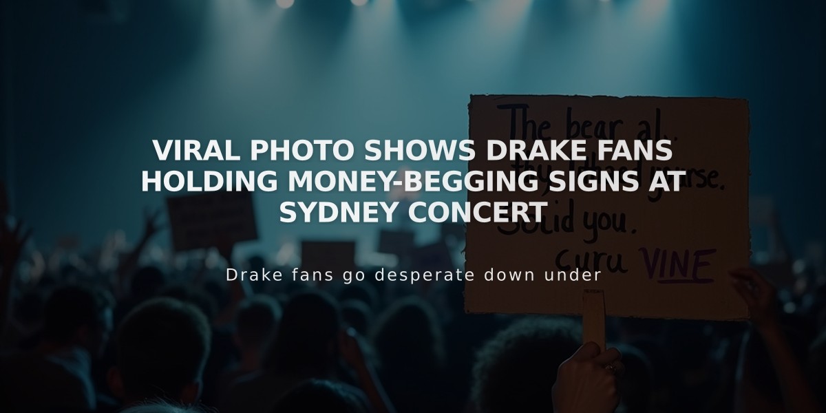 Viral Photo Shows Drake Fans Holding Money-Begging Signs at Sydney Concert