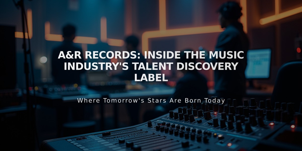 A&R Records: Inside the Music Industry's Talent Discovery Label