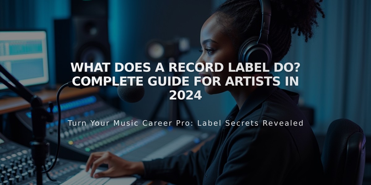 What Does a Record Label Do? Complete Guide for Artists in 2024